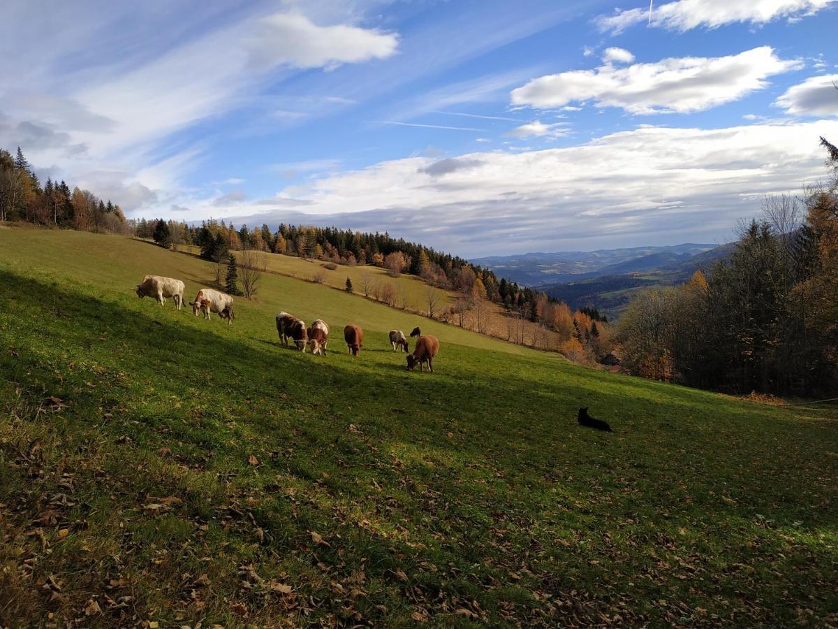 Almbauer Morgenbesser Trattenbach  Extérieur photo
