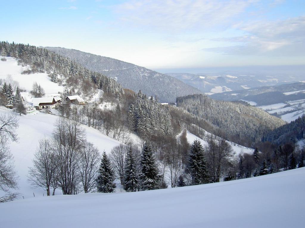 Almbauer Morgenbesser Trattenbach  Extérieur photo